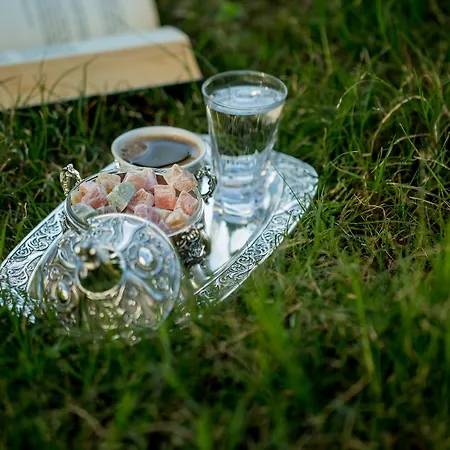 Nefes Хотел 3*